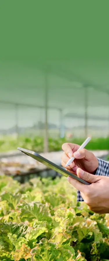 A person using an IoT platform on a tablet.