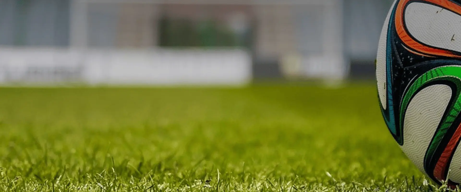 A ball on the grass