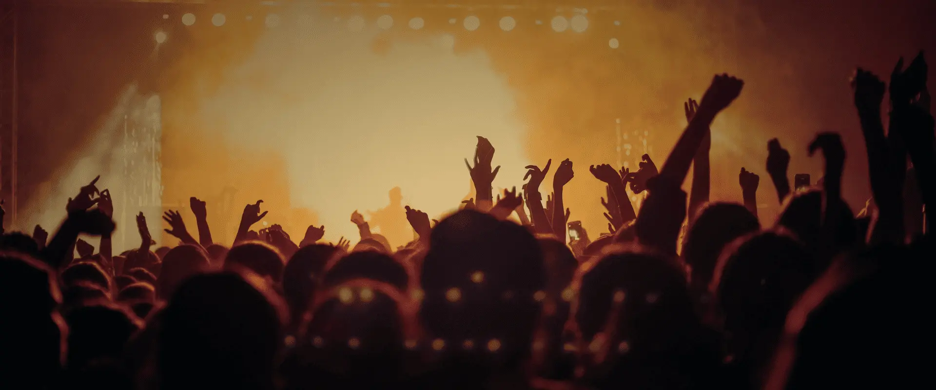 Gente en un concierto
