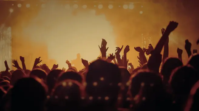 People at a concert